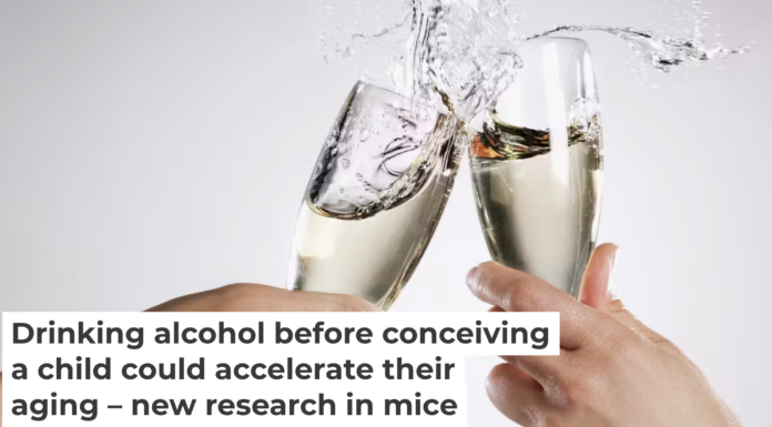 When the mom, dad or both parents drink, the health risks of alcohol extends to their future offspring. Robert Daly/OJO Images via Getty Images